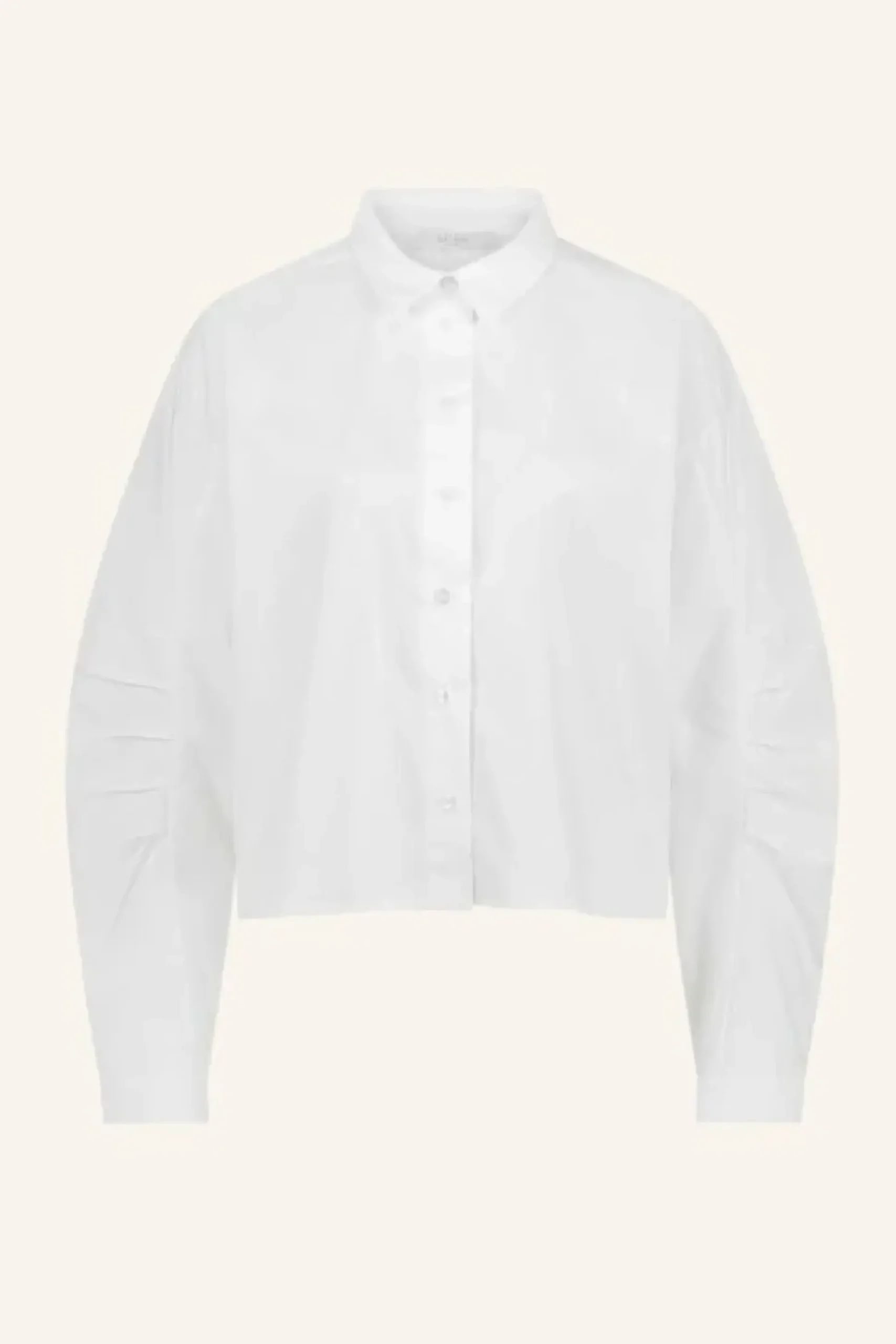 Blouses*By bar penny poplin blouse | white